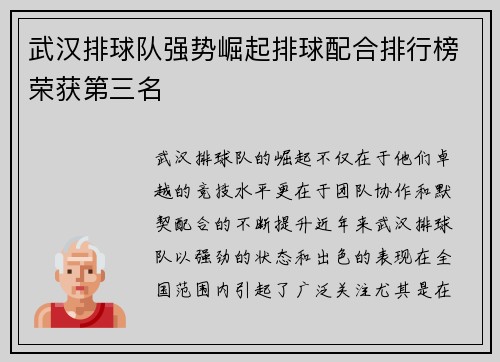 武汉排球队强势崛起排球配合排行榜荣获第三名